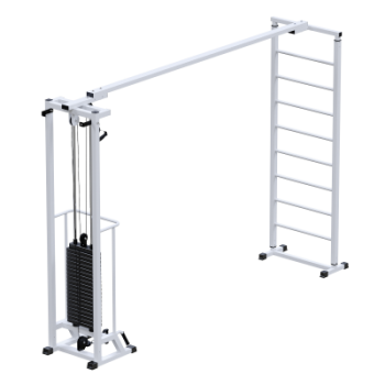 Профессиональный тренажер Биотонус + шведская стенка стек 100 кг Sabirgym SG087.1*2400*100 armssport - Спортивные тренажеры Сабиржим