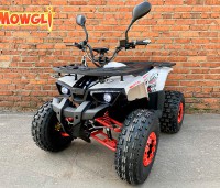 ������������� ���������� MOWGLI E-HARDY 8+ 1000W ����������� - �����������-�-����������.��