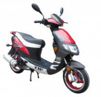 ������ City Jet ZIP ���� ���� ��� - �����������-�-����������.��