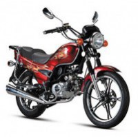 Lizard / Lizard Lux - �����������-�-����������.��