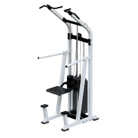 ���������������� ������� �������� ������-������ � ������������ (���� 100��) Sabirgym SG049.1 �������� - �����������-�-����������.��