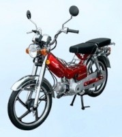 ����� Eurotex City M �������� ���� � - �����������-�-����������.��