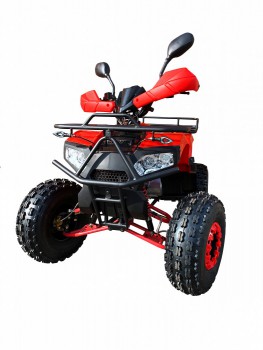 ������������ ���������� ���������� MOWGLI BOLD 8+ - �����������-�-����������.��