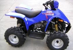 ���������� ������� 50�� POLAR FOX  ATV50  - �����������-�-����������.��